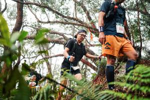 BIB: 
                            <button type="button" onclick="openModal(26299912)" class="btn btn-primary btn-sm float-right btn-popup" data-toggle="modal" data-target=".modal-high-quality">
                        <i class="fas fa-shopping-cart"></i> Add to Cart
                    </button>
                                            <button type="button" onclick="isThisMe(26299912, true)" class="btn btn-success btn-sm float-right btn-popup btn-isme hidden" data-toggle="tooltip" data-placement="bottom" title="นี่คือรูปของคุณใช่ไหม คลิกที่นี่เพื่อเอาเข้าอัลบั้ม">
                        <i class="fas fa-plus"></i> Add to album
                    </button>
                    <button type="button" onclick="isThisMe(26299912, false)" class="btn btn-warning btn-sm float-right btn-popup btn-isnotme hidden">
                        <i class="fas fa-ban"></i> Remove from album
                    </button>